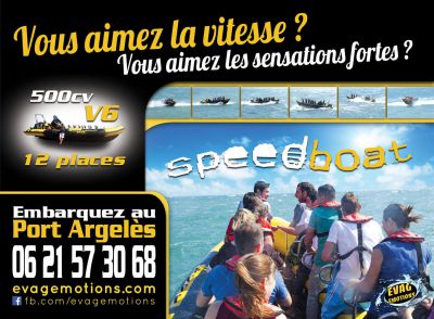 Panneau 310 cm sur 230 cm